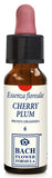 CHERRY PLUM ORIGINAL GOCCE 10 ML