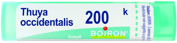 THUYA OCCIDENT 200K GRANULI 4G