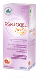 PSYLLOGEL FAST F 10 STICK