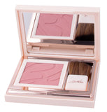 DEFENCE COLOR PRETTY TOUCH FARD COMPATTO 303 BOIS DE ROSE