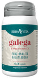 GALEGA 60 CAPSULE