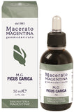 FICUS CARICA MACERATO MAGENTINA 50 ML