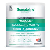 SOMATOLINE SLIM ADVANCED 275 G SENZA GLUTINE SENZA LATTOSIO