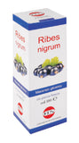 RIBES NIGRUM MACERATO GLICERICO 100 ML GOCCE