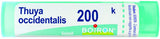 THUYA OCCIDENT 200K GRANULI 4G